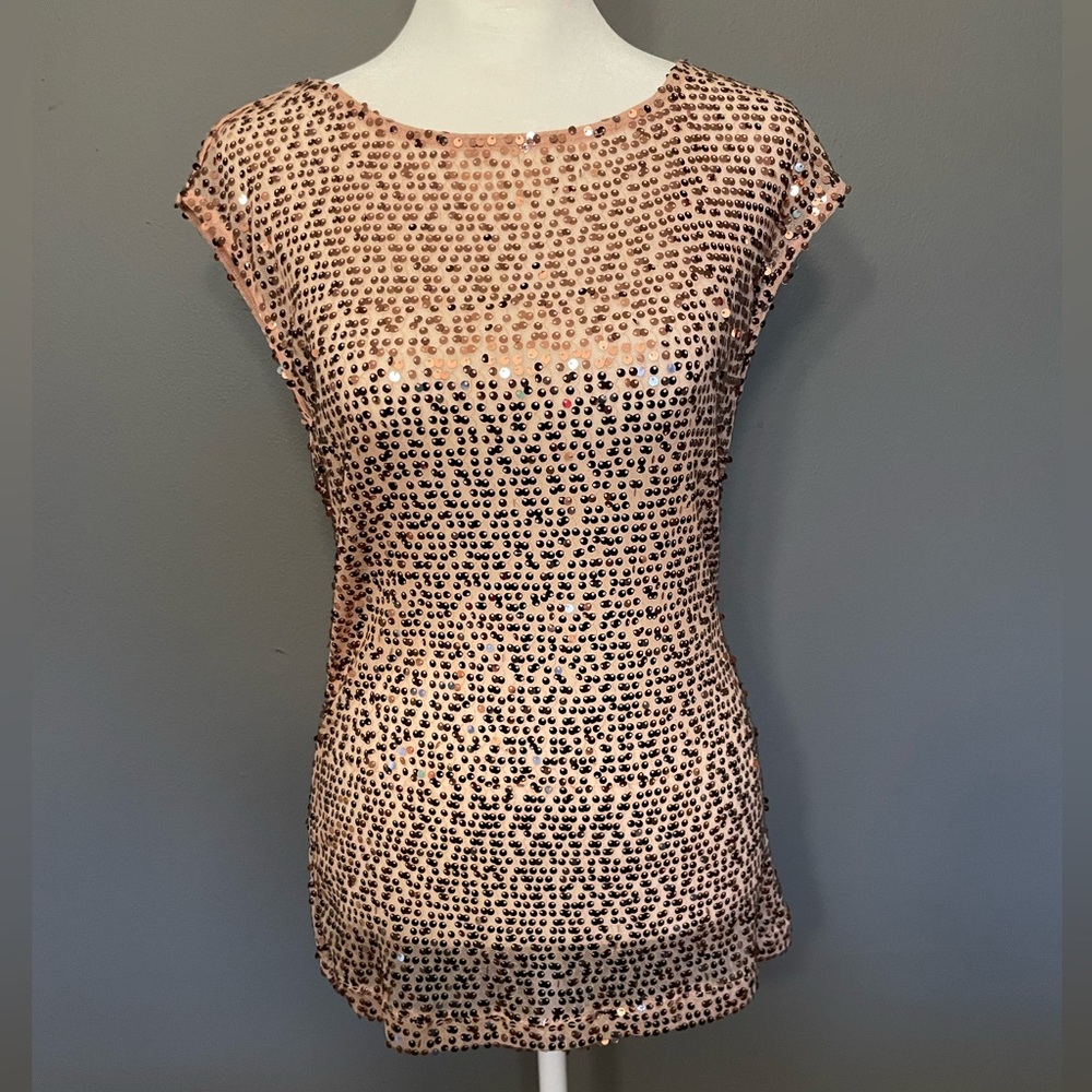 LIMITED Pink Sequin Sheer Sleeveless Blouse / Tunic - Size Small